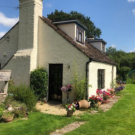Bed and Breakfast Chaseborough Farm Verwood Екстер'єр фото