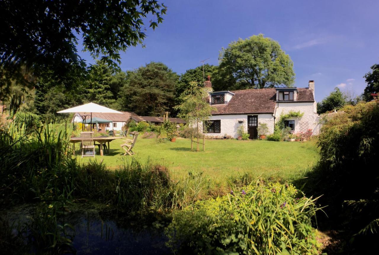 Bed and Breakfast Chaseborough Farm Verwood Екстер'єр фото