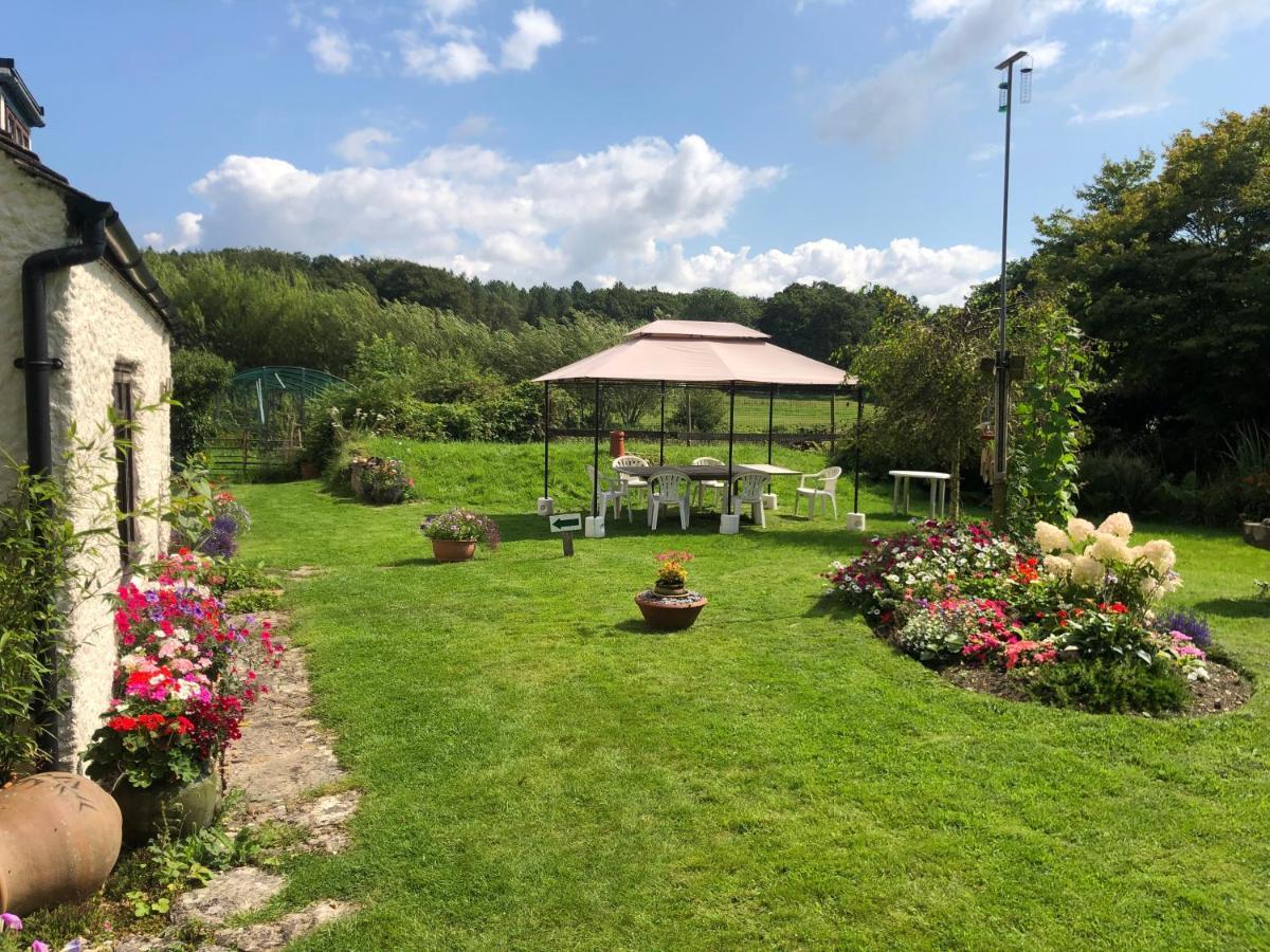 Bed and Breakfast Chaseborough Farm Verwood Екстер'єр фото